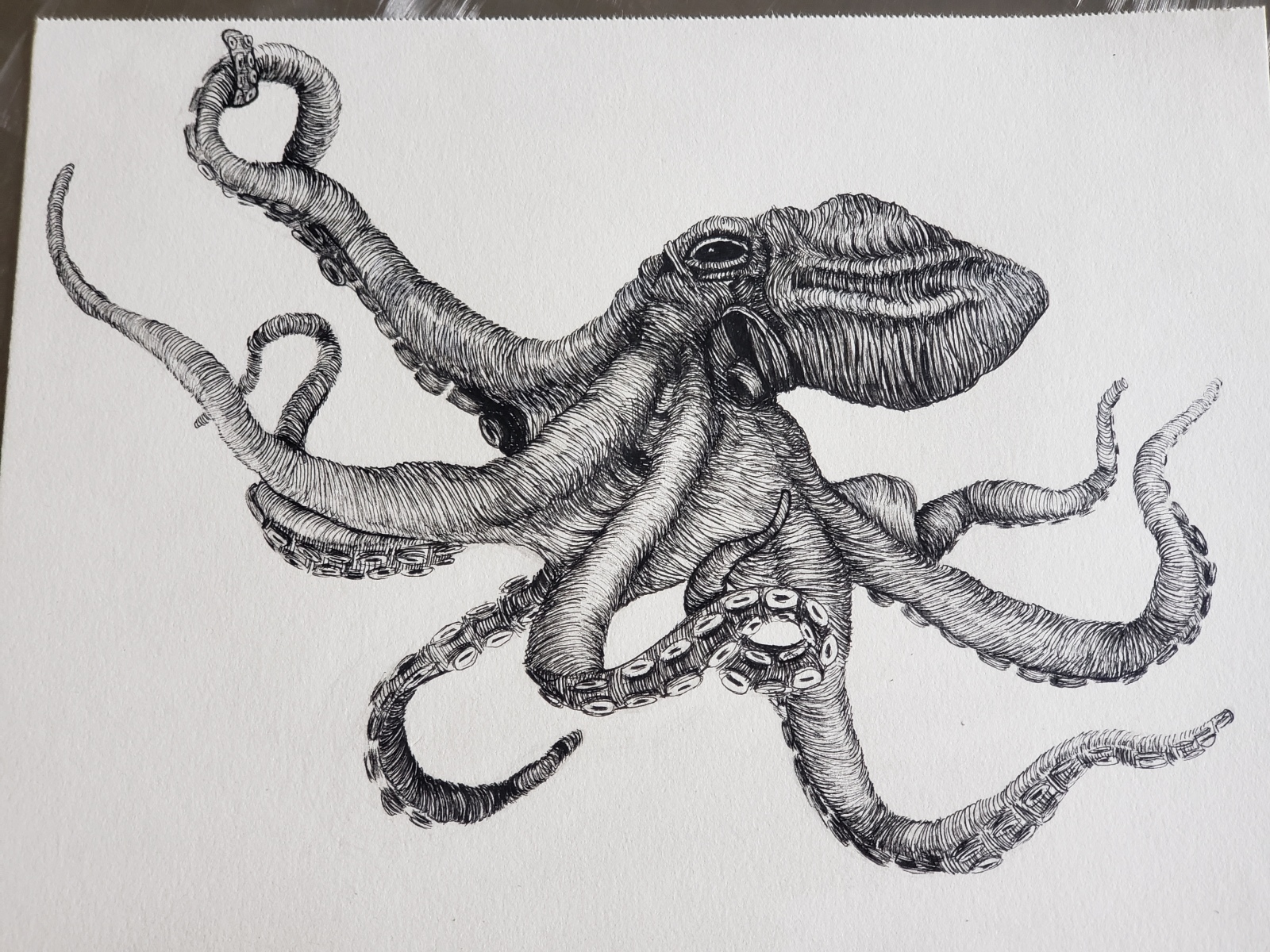 Inktober-6