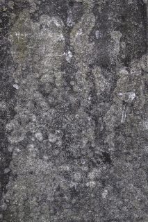 Landing Sequence Initiated