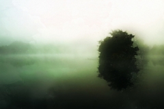 Nothing-is-Real-12
