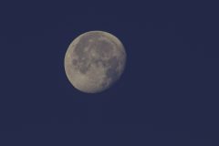 Evening-Moon-Waning-Gibbous