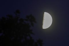 First-Quarter-Moon