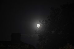Full-Moon-Emerging-From-Trees-Over-A-Chimney-Black-and-White