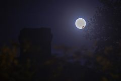 Full-Moon-Emerging-From-Trees-Over-A-Chimney