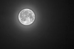 Full-Moon-Shimmering-Black-and-White