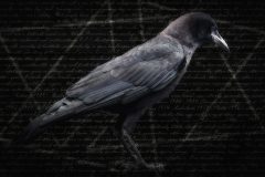 Augury