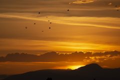 SummerSolstice2019-F