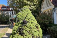 IMG_4720