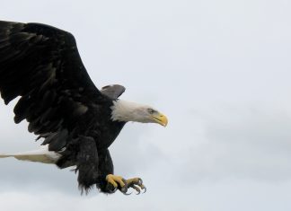 Last Year’s Census