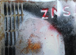 Es tanzt das ZNS