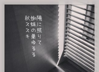 Haikuesquecuses