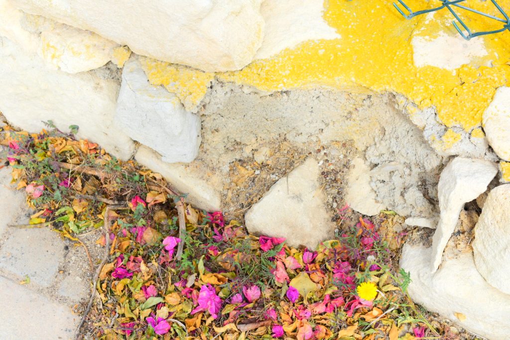 Primavera