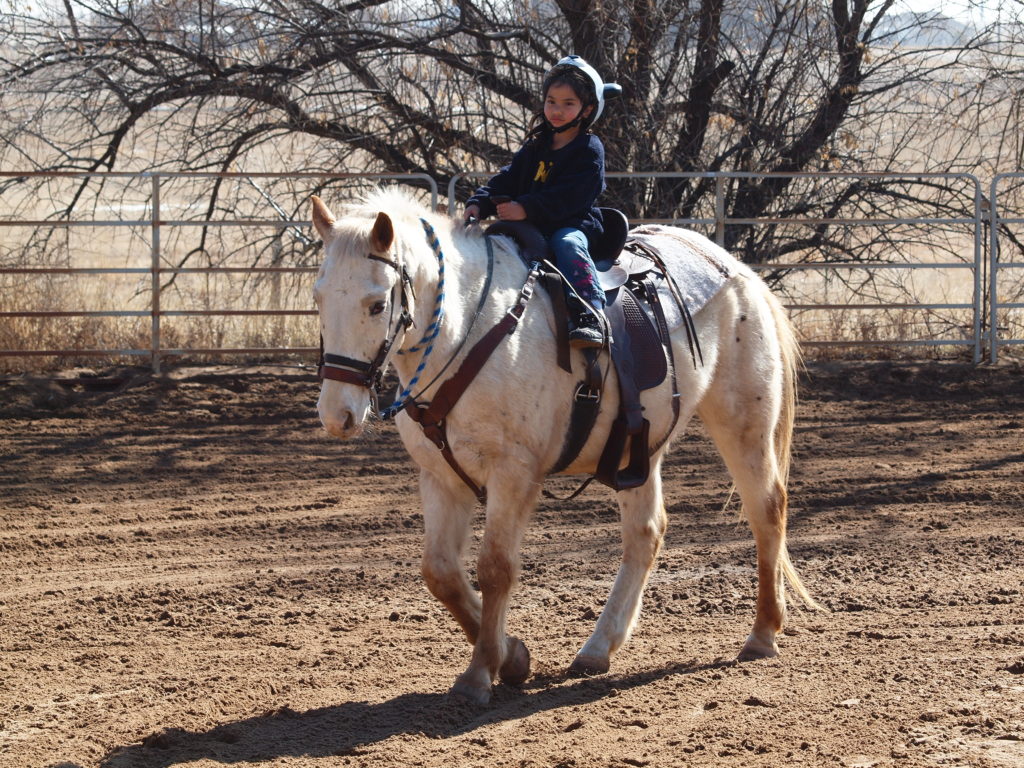First we release the horses
