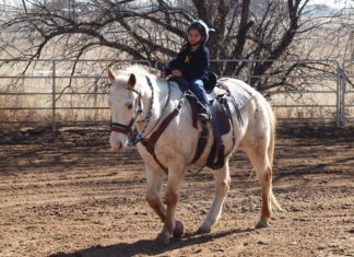 First we release the horses