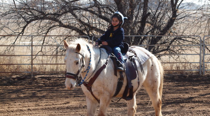 First we release the horses