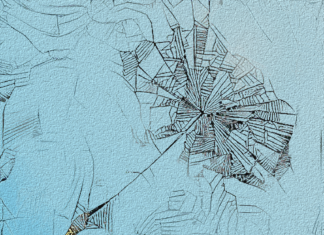 Why I have weaponized the thistledown