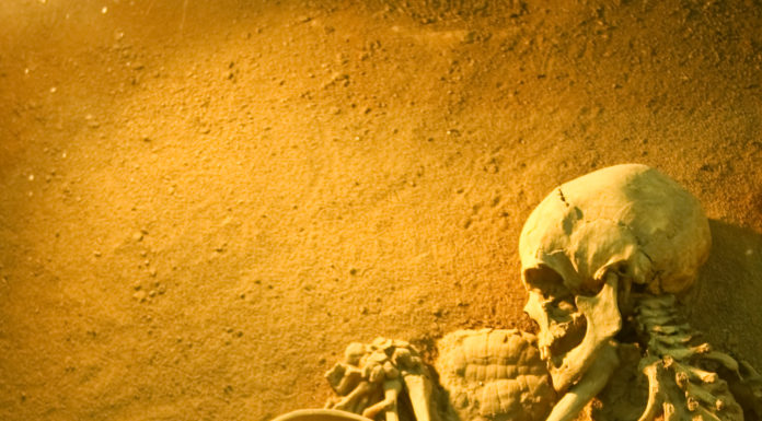 all natural zero calorie existence