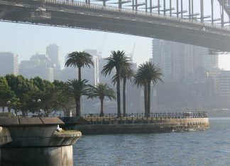 A Train Whistle Announcing the Arrival of Cousin Harrietta