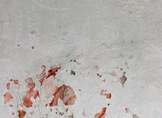 The Secret of Wan Li