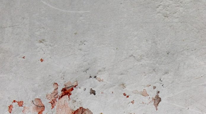 The Secret of Wan Li