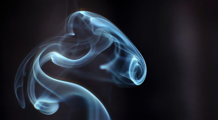 Assassination of a Critic