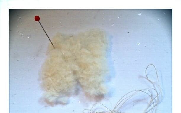 .yesterday’s fluff.