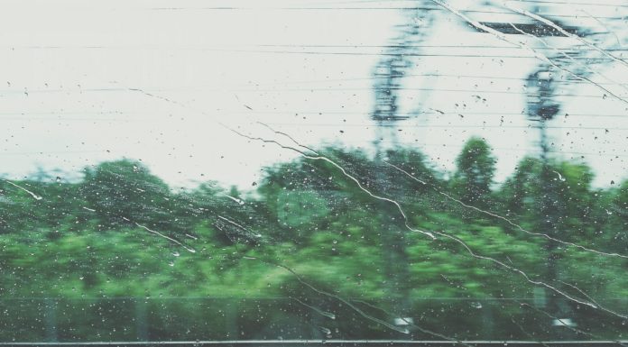 What I should have told her