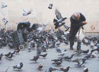 i’ve been shit on…