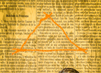 About the Palm Warbler