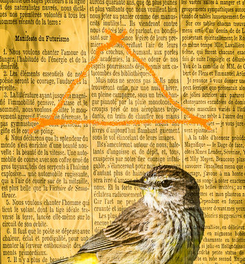 About the Palm Warbler