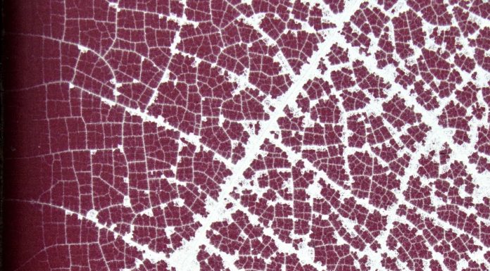 Lost In Transportation