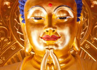 What Do You Call This? Bubba Ganish?