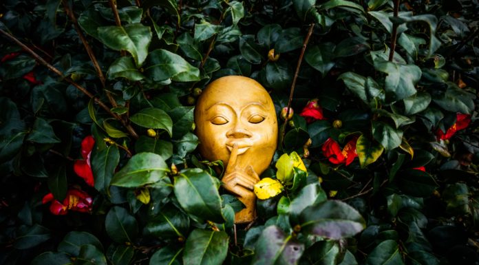 Koan #5378 (Extended Version)