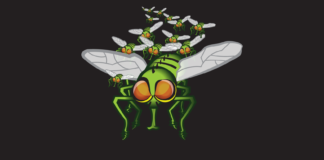 Horsefly Don’t Bother Me