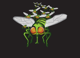 Horsefly Don’t Bother Me