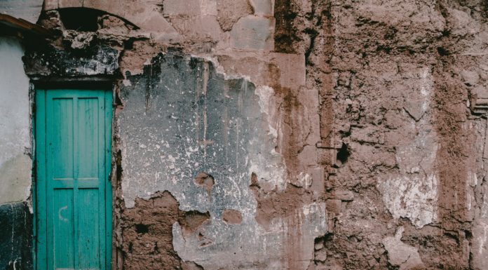 Schrödinger’s Kitten