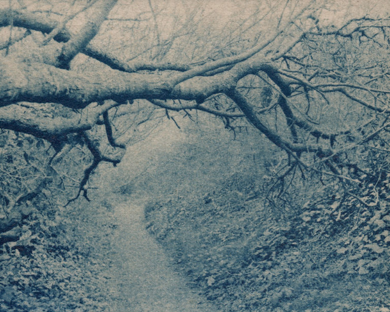 EPSON MFP image