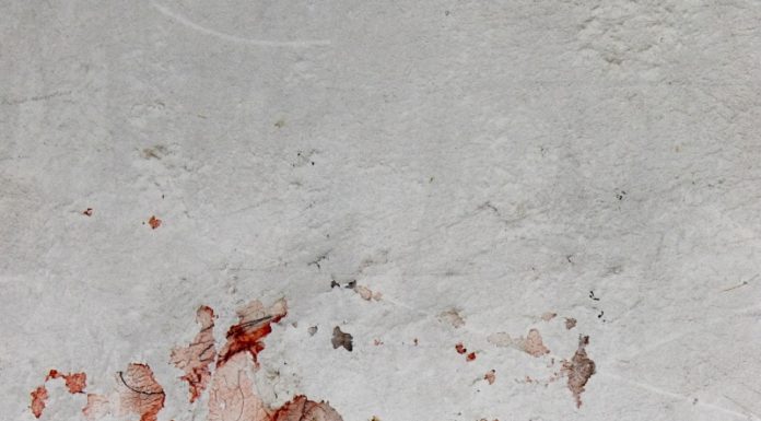 The Secret of Wan Li