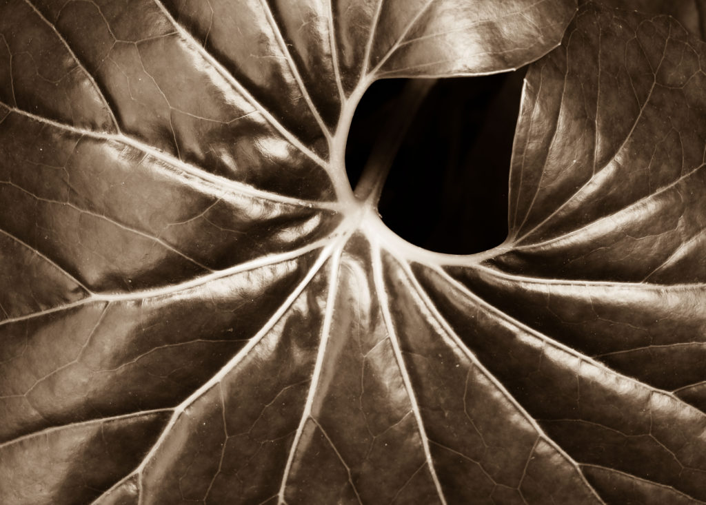ConTEXTnaTURE