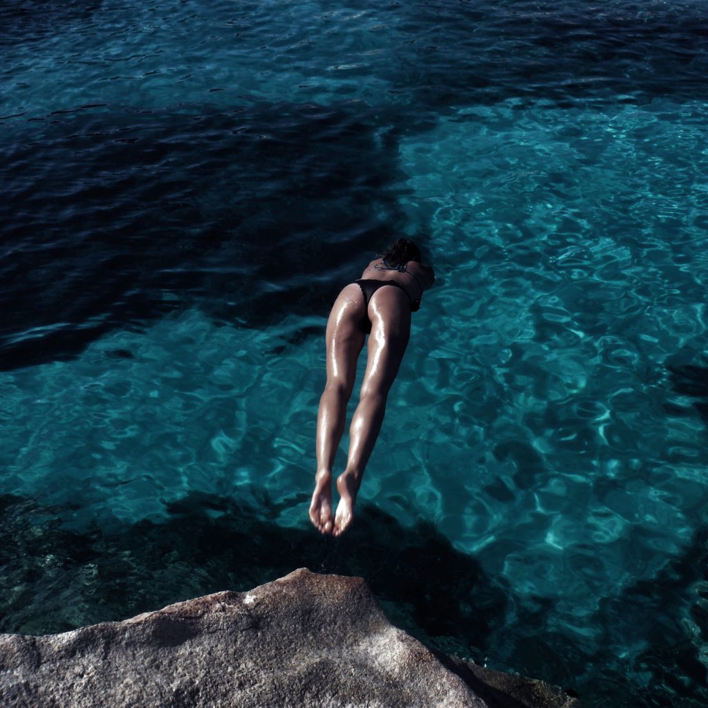 Swan Diver