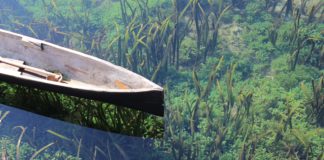 A Boat Called Isabelle