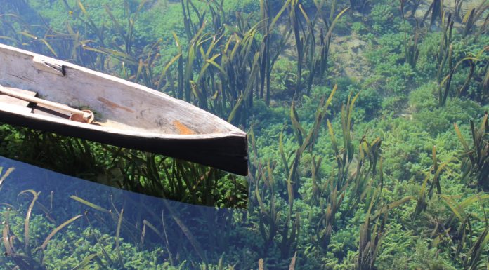 A Boat Called Isabelle