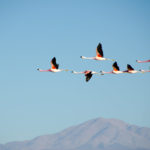 Photo by Shwetha Shankar