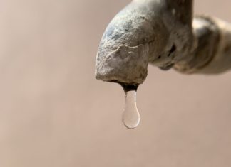 lemme say this while ain’t nobody lookin’