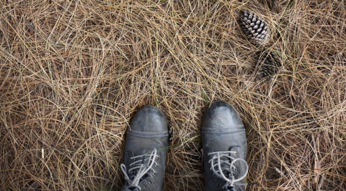 Those who look straight forward