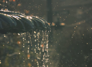 Softer Truths in City Parks