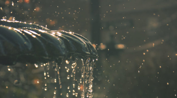 Softer Truths in City Parks