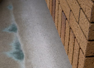 Spring Portfolio 2019: Selected Photographs