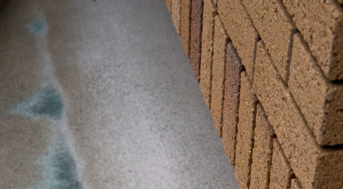 Spring Portfolio 2019: Selected Photographs