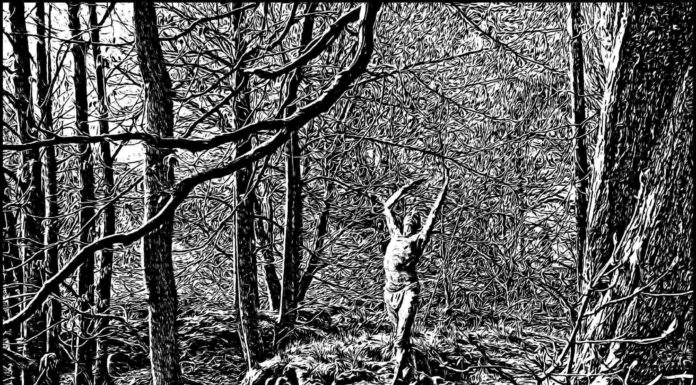 Only Black: Selected Photographs