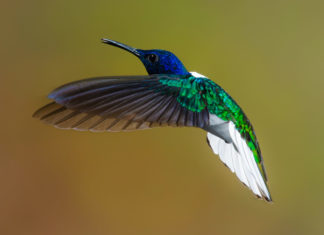 How to win an argument: lesson #17, Dad